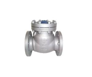 CHECK VALVES IN KOLKATA