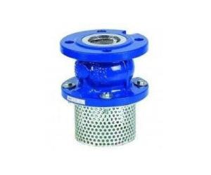 FOOT VALVES IN KOLKATA