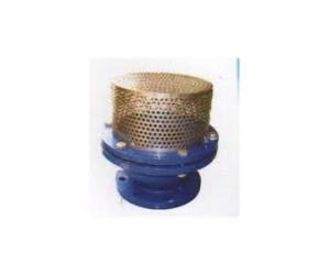 FOOT VALVES SUPPLIERS IN KOLKATA
