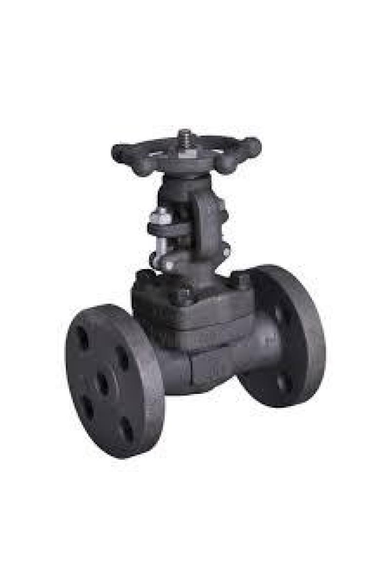 STEAM VALVES SUPPLIERS IN KOLKATA
